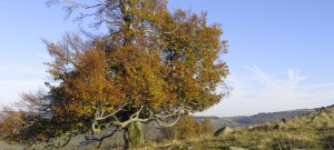 hintergrund6